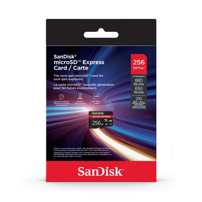SanDisk - Flash memory card - microSD
